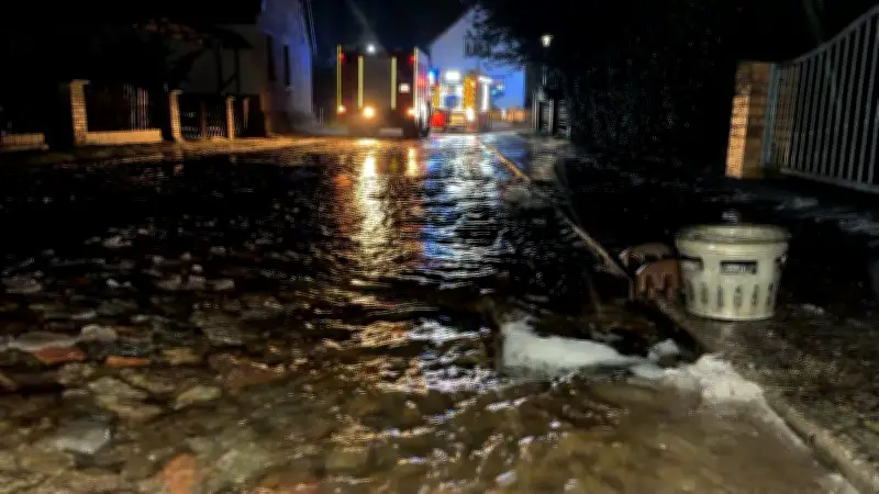 Tauwetter und Regen: Mecklenburg-Vorpommern ringt mit massiven Überschwemmungen