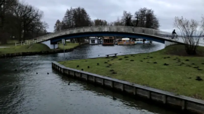 Tödlicher Anblick am Tollensesee: Verendete Vögel im Eis sorgen für Unmut in Neubrandenburg