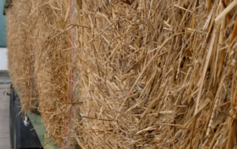 Tödlicher Arbeitsunfall in Sachsen-Anhalt: Strohballen erschlägt 35-Jährigen