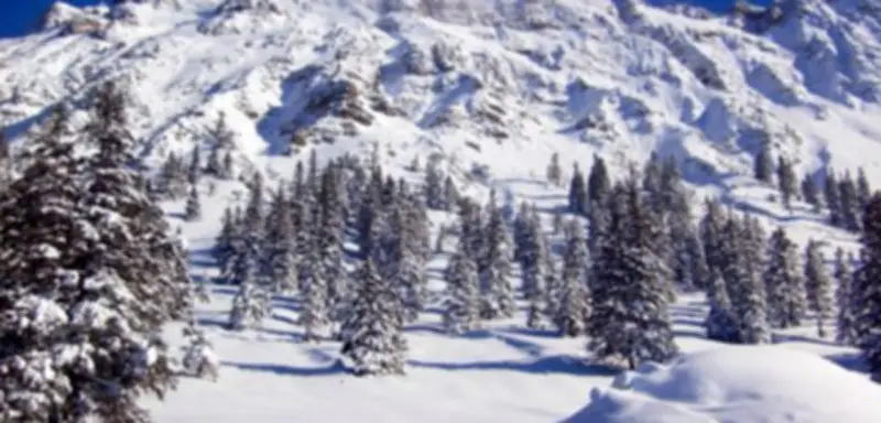 Tödlicher Lawinenunfall im Allgäu: 46-jähriger Skitourengeher stirbt nach selbst ausgelöster Lawine