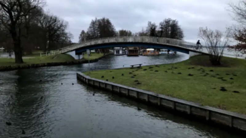 Tödliches Eis am Tollensesee: Stadt Neubrandenburg wartet auf Tauwetter zur Bergung verendeter Vögel
