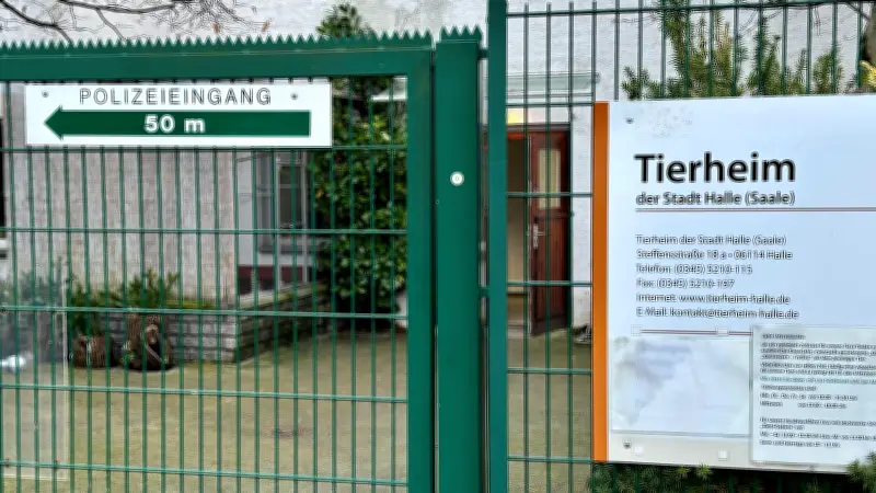 Tierheim Halle plant Umzug: Neue Heimat für Vierbeiner in Sicht