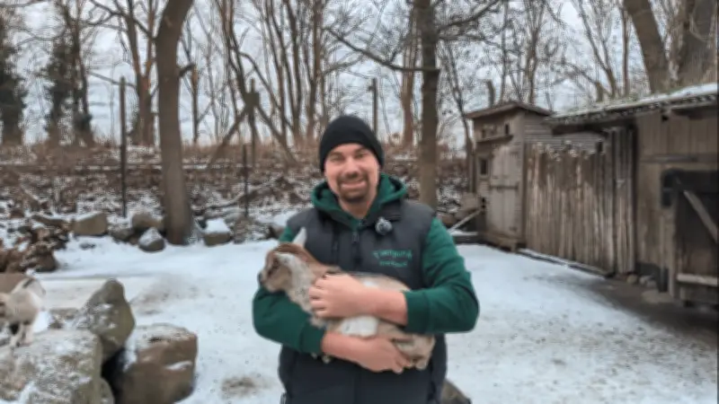 Tierischer Nachwuchs in Greifswald: Sechs Baby-Ziegen erobern den winterlichen Tierpark