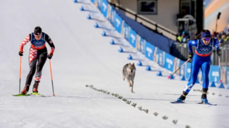Tierisches Olympia-Chaos: Hund stürmt Langlaufstrecke und jagt Athletinnen