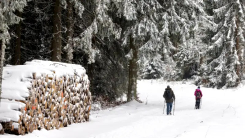 Tierschützer warnen: Winter-Spaziergänge können für Wildtiere tödlich enden