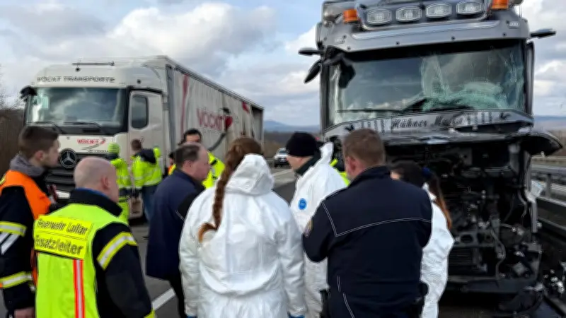 Tiertransporter-Unfall auf A480: Tierarzt muss 60 schwer verletzte Hühner einschläfern