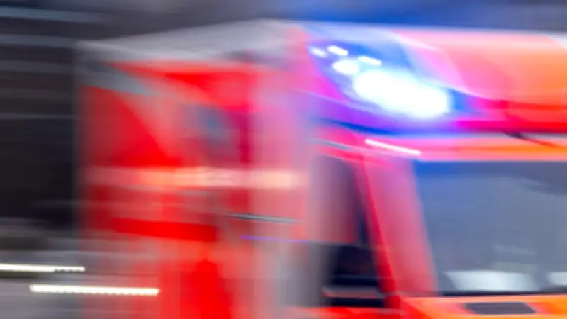 Tragödie in Niederbayern: Senior (86) stirbt bei Baumfällarbeiten im Wald