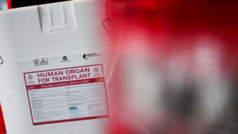 Tragischer Fehler bei Herztransplantation: Spenderherz durch Trockeneis zerstört