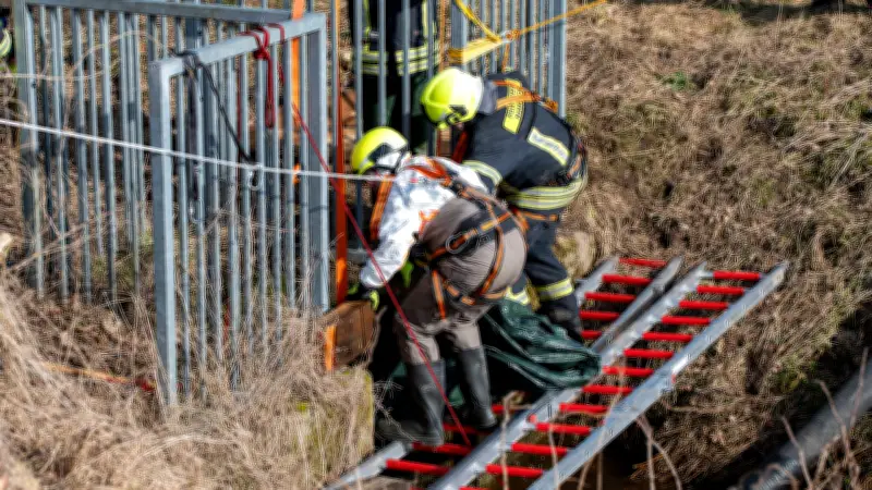 Tragischer Fund in Schleswig-Holstein: Leiche und toter Hund in Bach entdeckt