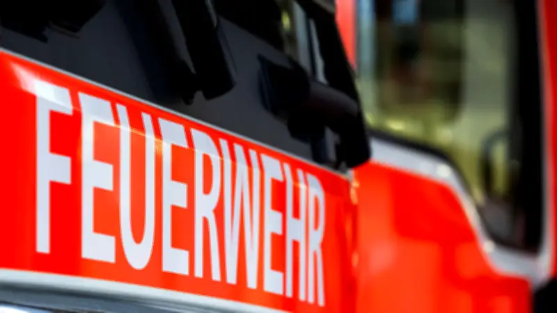 Tragischer Stallbrand in Niederbayern: Zahlreiche Schweine verenden bei Feuer