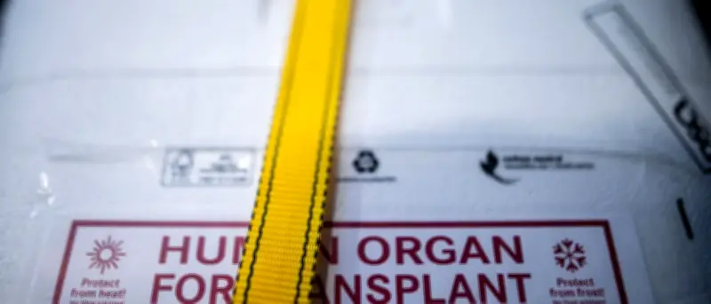 Transportfehler in Italien: Spenderherz für kleinen Jungen verschwunden