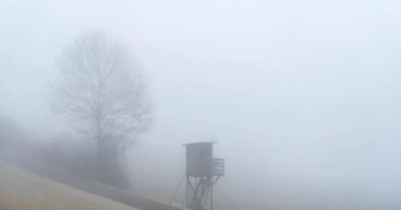 Trübes Wochenende in Bayern: Sonne nur an den Alpen, Nebel und Regen dominieren