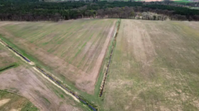 Trotz Winterwetter: Außergewöhnliche Dürregebiete in der Uckermark alarmieren Experten