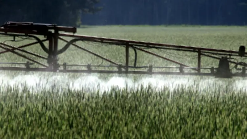 Trump macht Glyphosat zur Chefsache: Bayer im Fokus der US-Produktionsverordnung