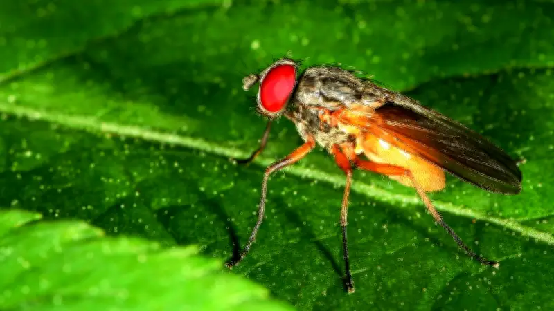 Valentinstag in Halle: Tierische Mitbewohner statt klassischer Blumen