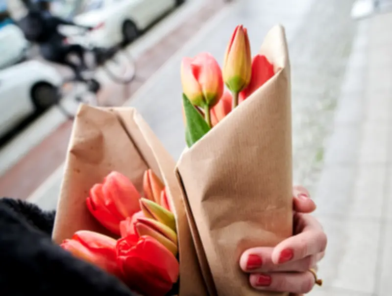 Valentinstag: Nachhaltige Blumen-Alternativen zu Rosen und Tulpen