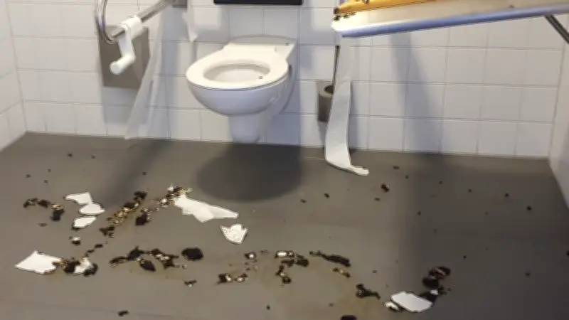 Vandalismus zwingt Ueckermünde zur Schließung des Behinderten-WCs am Stadthafen