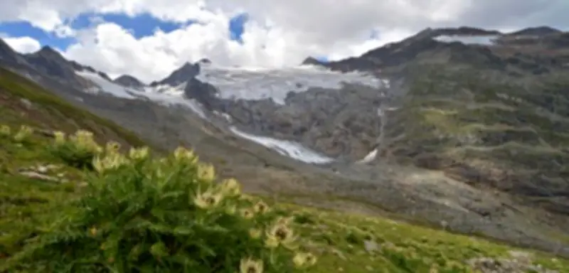 Verbotene Liebe über Kontinente: Eine Familiengeschichte zwischen Tirol und Buenos Aires