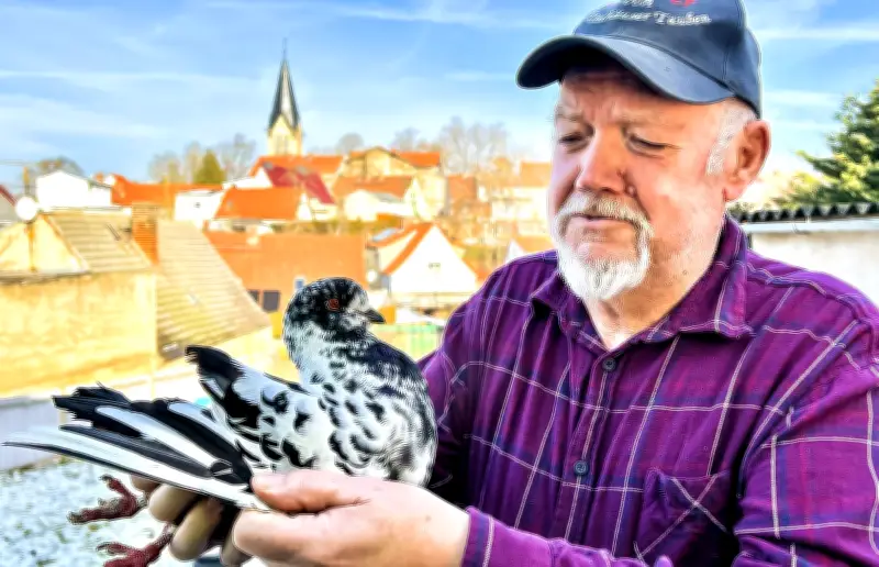 Vereinszüchter zwischen Vogelgrippe und Zukunft: Neugatterslebener Geflügelzuchtverein plant für 2026