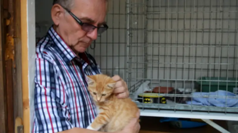 Vermisster Kater in Marderfalle: Tierschützer fordern strengere Kontrollen in Neubrandenburg