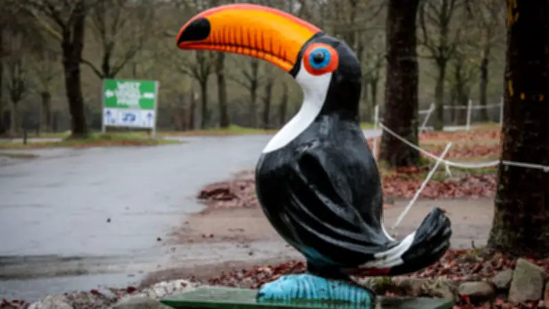 Vogelgrippe-Ausbruch im Weltvogelpark Walsrode: 80 Meeresvögel müssen gekeult werden