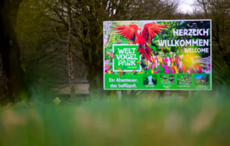 Vogelgrippe-Ausbruch im Weltvogelpark Walsrode: Dutzende Vögel betroffen, Park vorübergehend geschlossen