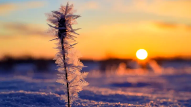 Von minus 11 auf plus 11 Grad: Temperatursturz in Brandenburg weicht frühlingshafter Wärme
