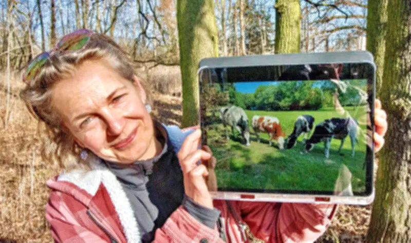 Vor Schlachter gerettet: Frau sucht verzweifelt Weideplatz für ihre vier Kühe in Dessau