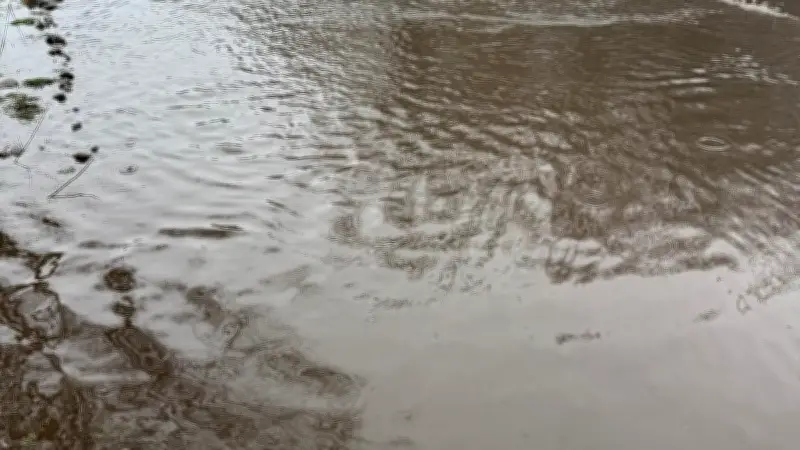 Waren: Erlenweg nach Hochwasser wieder befahrbar - Umleitungen bleiben