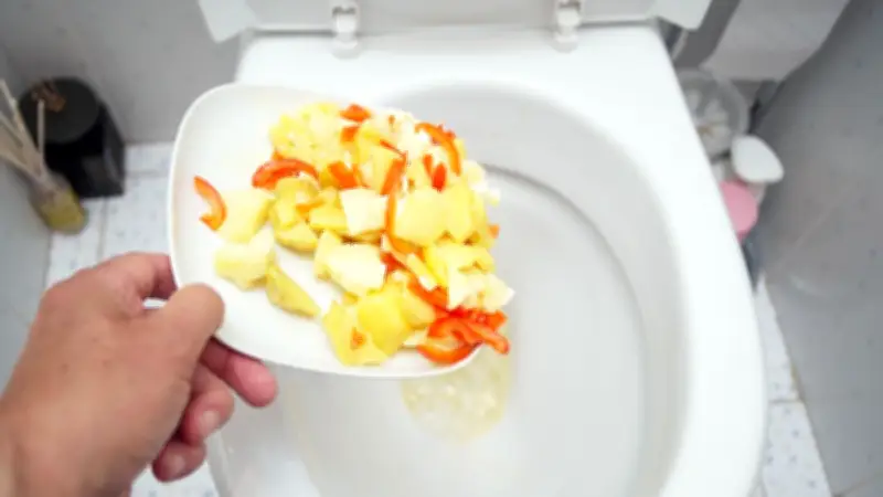Warum Essensreste niemals in der Toilette entsorgt werden sollten