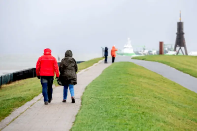 Wetter in Niedersachsen: Unbeständiger Wochenstart mit Tauwetter im Harz