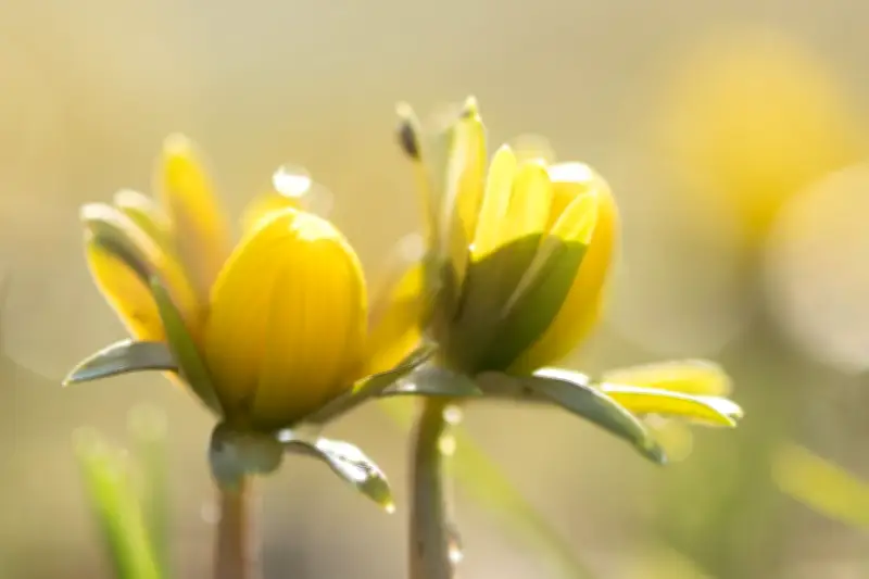 Wetterfühligkeit wissenschaftlich belegt: Warum Wetterwechsel Beschwerden auslöst
