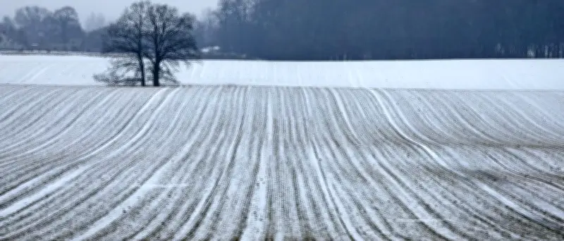 Wettervorhersage: Schnee am Wochenende, ab Rosenmontag mildere Temperaturen im Westen