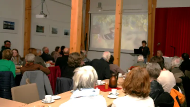 Wiedehopf kehrt zurück: Nabu berichtet über erfolgreiche Wiederansiedlung im Marienfließ