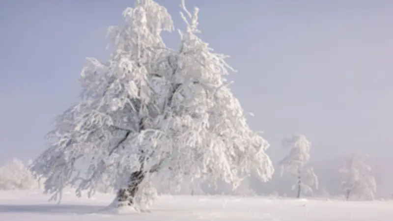 Winterbilanz 2026: Mehr Schnee nur regional – Langfristiger Rückgang setzt sich fort