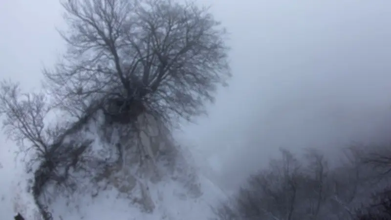 Winterchaos in Vorpommern: Schnee, Nebel und Unfälle bei geteiltem Wetter