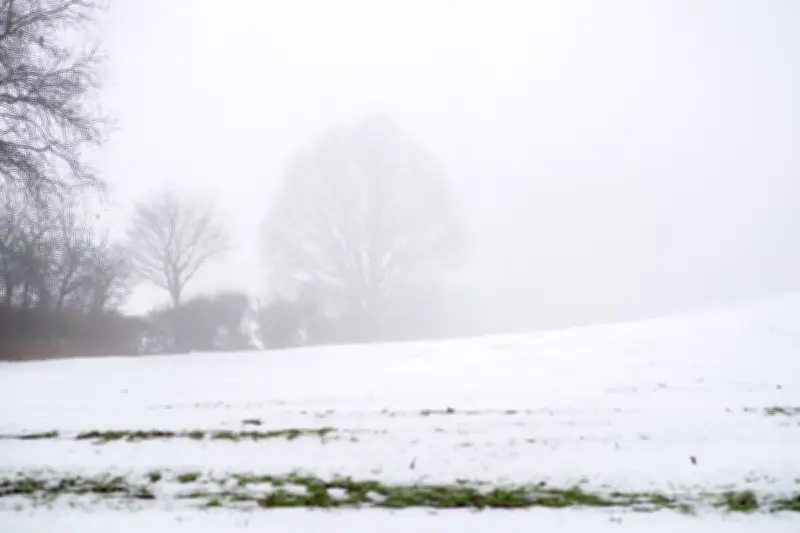 Wintereinbruch in Norddeutschland: Schneefall und Frost dominieren das Wochenende
