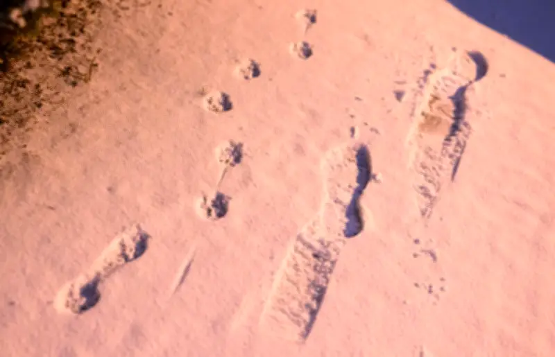 Winterwetter in Niedersachsen und Bremen: Schnee, Regen und Glätte prägen die Woche