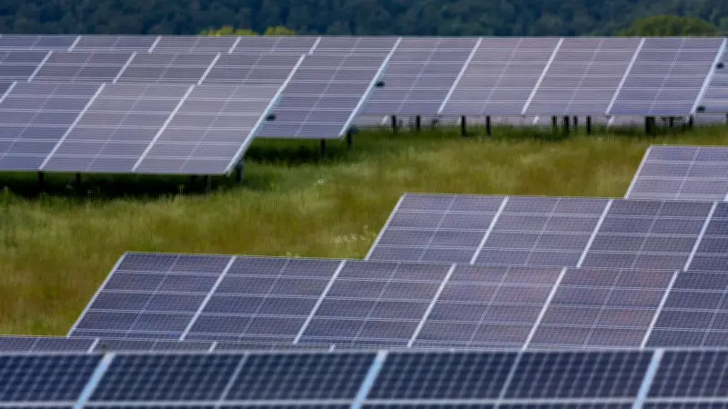 Wittenberger Stadtrat entscheidet knapp über Photovoltaik-Ausbau auf 600 Hektar