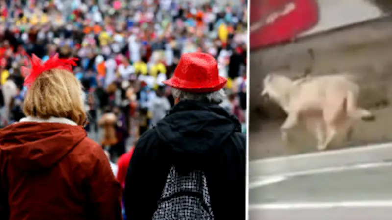 Wolf in Leverkusen gesichtet: Polizei gibt Entwarnung für Bevölkerung