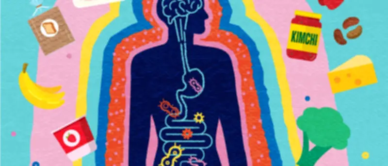 Zu viel Protein kann Darmflora schädigen: Tipps für ein gesundes Mikrobiom