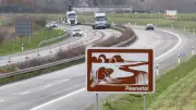 A20 bei Jarmen gesperrt: Staus auf L35 am Donnerstag unvermeidbar