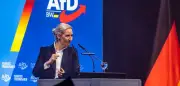 AfD in der Krise: Rücktrittsforderungen und interne Spannungen nach Verwandtenaffäre