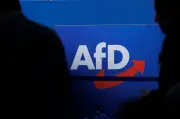 AfD Sachsen-Anhalt reagiert auf Vetternwirtschaftsvorwürfe mit neuer Kommission