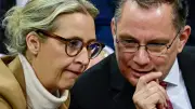 AfD-Skandal: Millionen-Betrugsvorwürfe erschüttern Bundestagsfraktion
