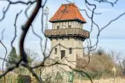 Alslebens Wasserturm: Baumverschnitt für freie Sichtachse im Stadtrat diskutiert