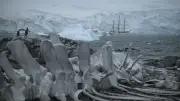 Antarktis-Expedition: Eine harte Segelreise zu den Pinguinen und dem Klimawandel