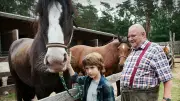 ARD beendet Kult-Krimireihe: Keine neuen 'Krause'-Filme nach Tod von Horst Krause