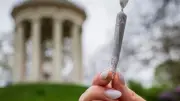 Bayerische Sonderregeln für Cannabis gescheitert: Kiffen im Englischen Garten nun legal
