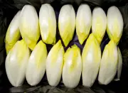 Bitterstoffe genießen: So mildern Sie den Geschmack von Chicorée und anderen Gemüsesorten